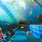 Espacioso 140 M2 Y Calidad A 250 Metros Playa Y Puerto Deportivo 5hab 2 Banos Vut2917as * Gijón