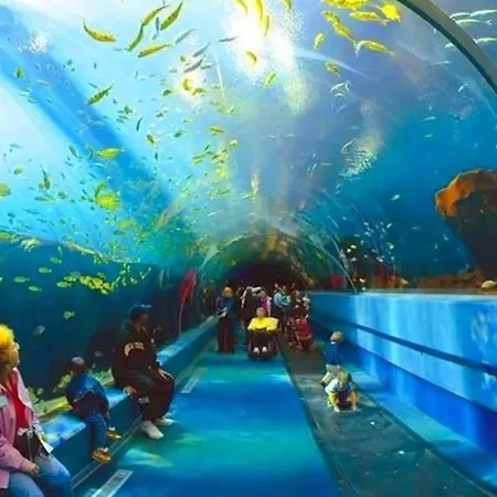 Espacioso 140 M2 Y Calidad A 250 Metros Playa Y Puerto Deportivo 5hab 2 Banos Vut2917as * Gijón